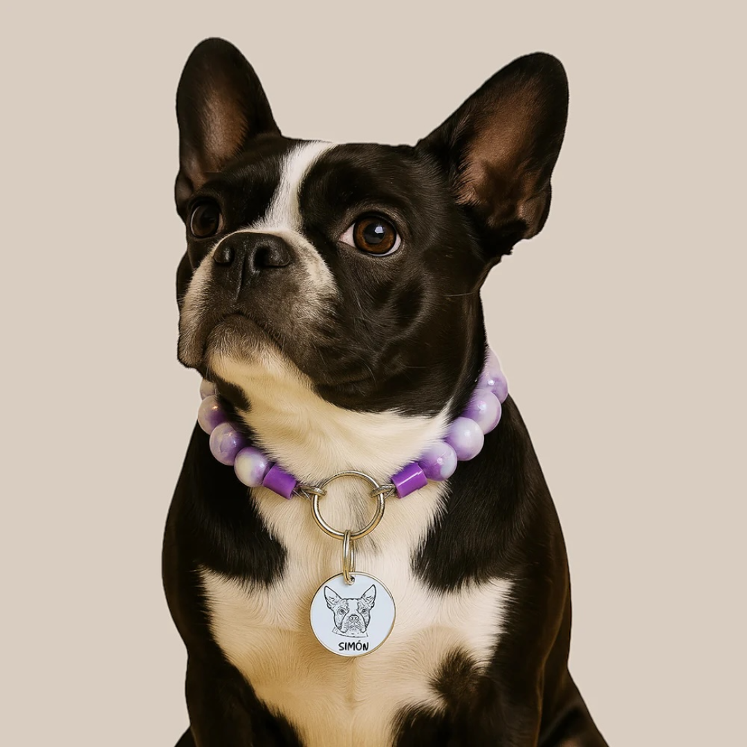 Placas para Mascotas