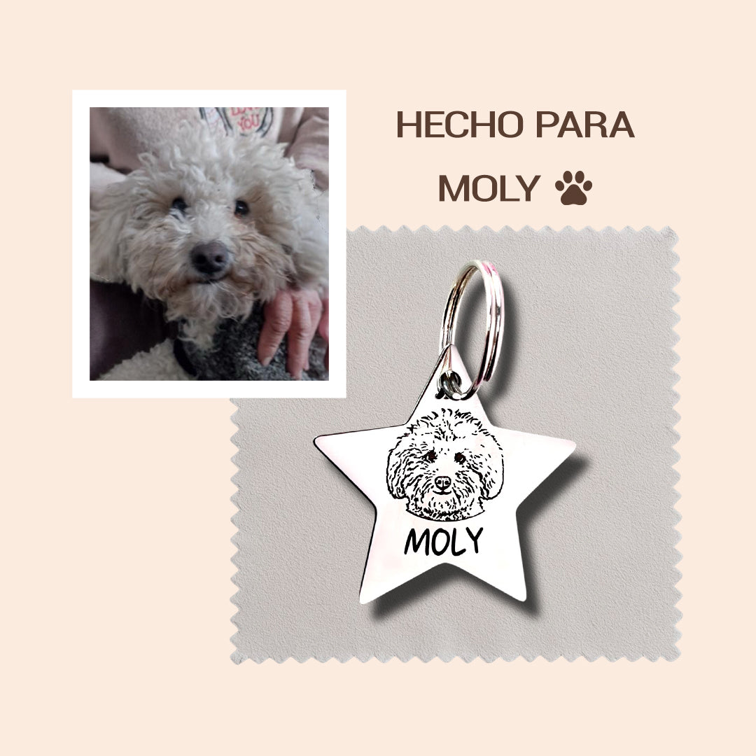 Pet ID Tag – Estrella Silver