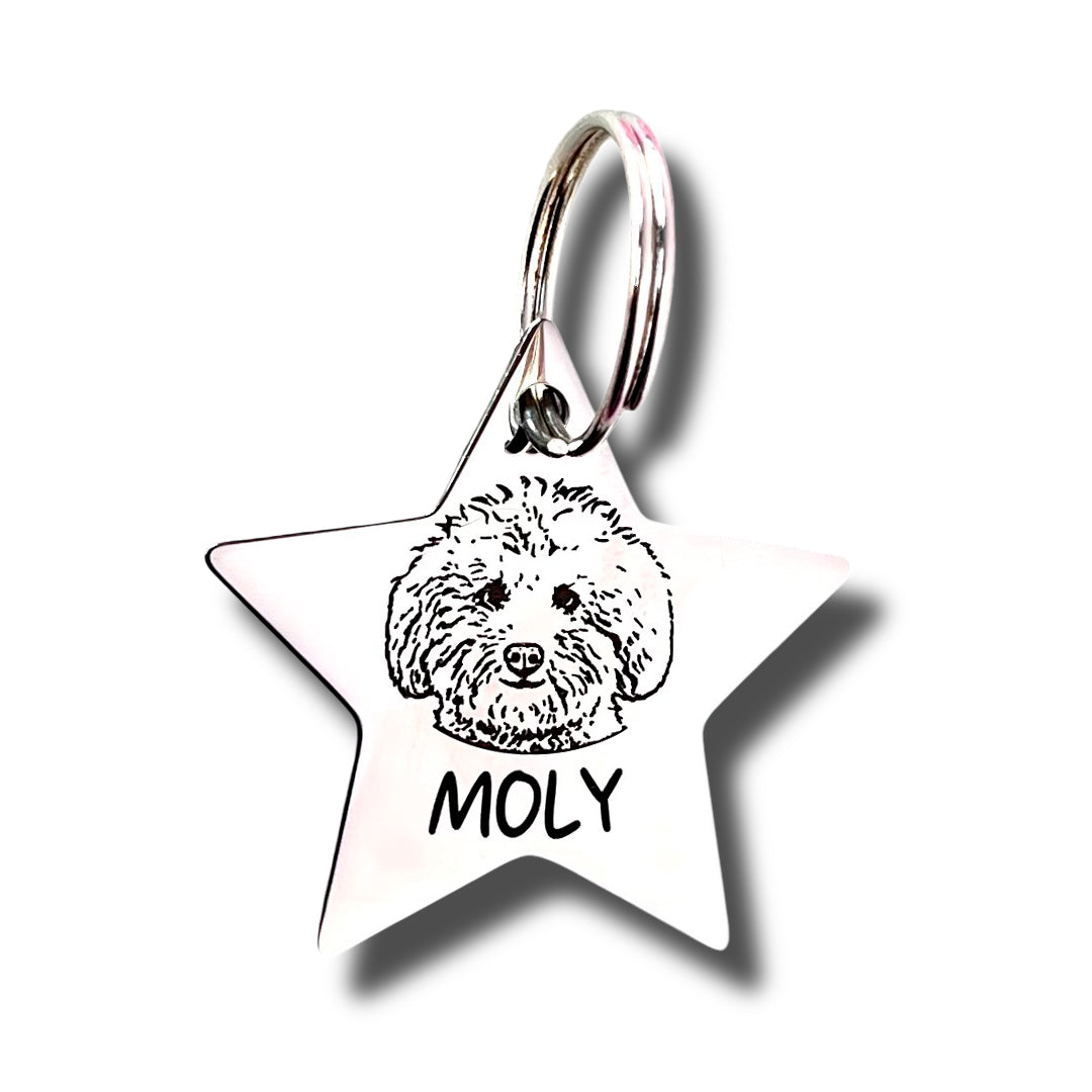 Pet ID Tag – Estrella Silver