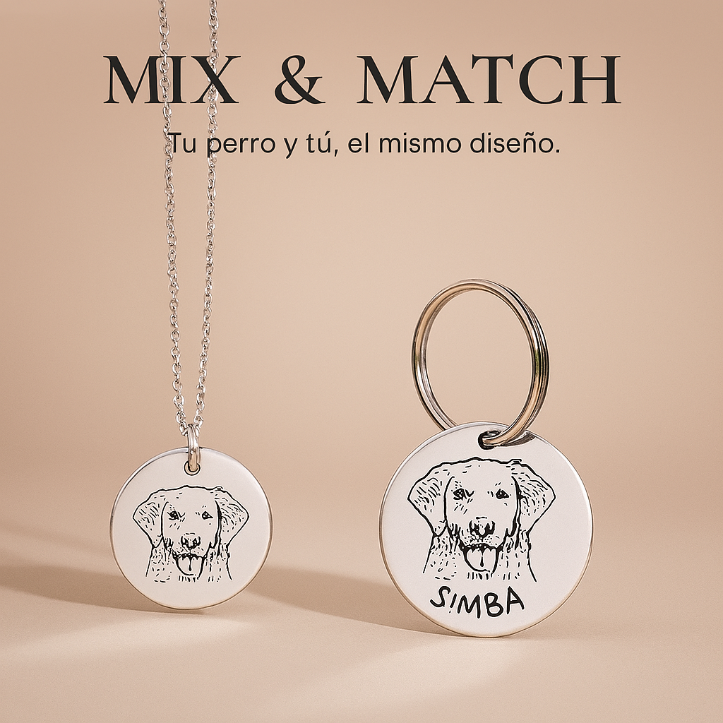 Pet ID Tag + Collar