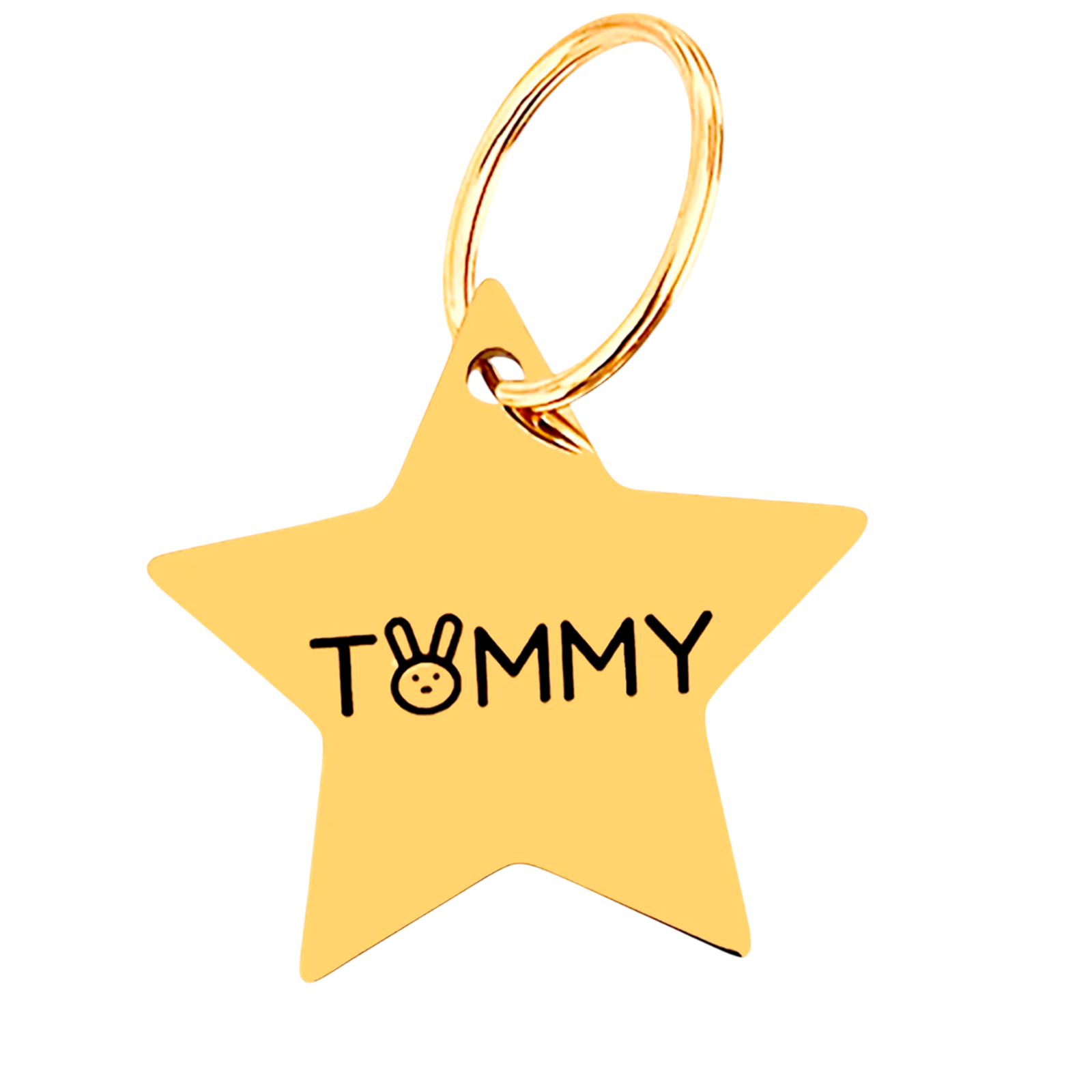 Pet ID Tag – Estrella Gold