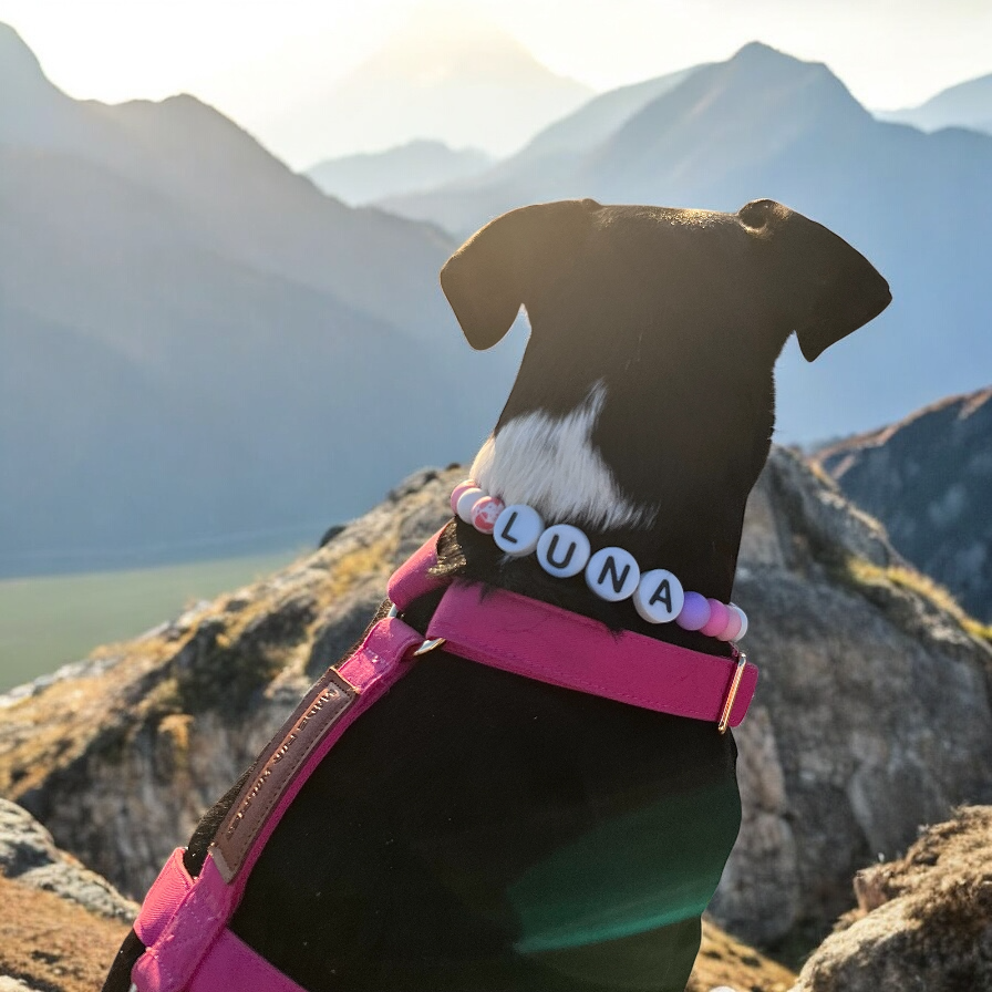 Name Me – Collar Personalizado
